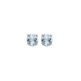 14KT White Gold Classic Book Color Stud Earrings