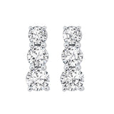 Silver (SLV 995) Diamond Classic Book 3 Stone Fashion Earrings  - 1/3 ctw
