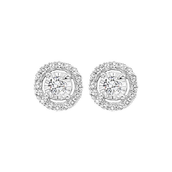 14KT White Gold & Diamond Fashion Earrings -1/3 ctw