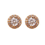 14KT Yellow Gold Classic Book Fashion Earrings - 1/4 ctw