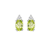 10KT White Gold & Diamond Classic Book 10K Birthstone Ensembles Fashion Earrings  - 1/10 ctw