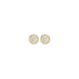 14KT Yellow Gold & Diamond Tru Reflection Fashion Earrings  - 1/4 ctw