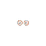 PLAT - 950 White Gold & Diamonds Fashion Earrings -  1/4 ctw