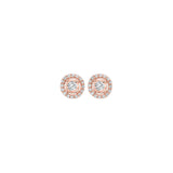 14KT Pink Gold & Diamond Tru Reflection Fashion Earrings  - 1/3 ctw