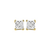 14KT Yellow Gold & Diamond Pricess Cut Stud Earrings  - 1/4 ctw