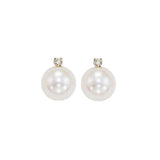 14KT White Gold & Diamond Classic Book Akoya Pearl Stud Earrings  - 1/10 ctw