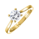 14KT White & Yellow Gold & Diamond Solitaire Ring - 1/4 ctw