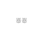 14KT White Gold & Diamond Classic Book Round Stud Earrings  - 1/4 ctw